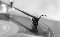 Dynavector Cartridges - Audio Counsel