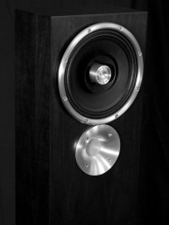 Audio Counsel Zu Audio Druid Mk. V