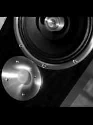 Audio Counsel Zu Audio Druid Mk. V