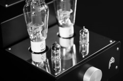 Audion Silver Night 300B - Audio Counsel