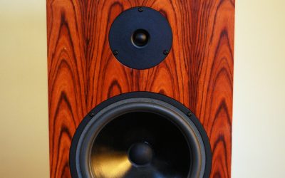 Audio Note AN-K/SPe speakers Review